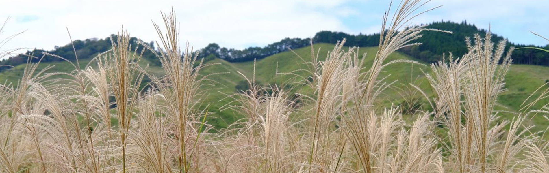 神河町防災河川情報